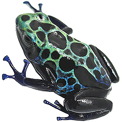 Surinam Cobalt Green